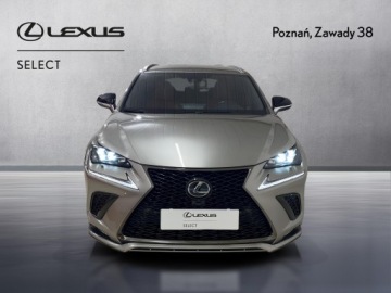 Lexus NX I 2020 Lexus NX 300 GPF F Sport Edition AWD I (2014-2021), zdjęcie 5
