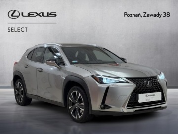 Lexus UX Crossover 200 171KM 2020 Lexus UX 200 Optimum 2WD Lexus UX 200 Optimum, Ben, zdjęcie 7