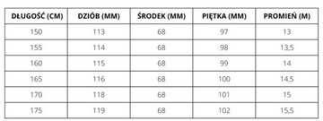 Лыжи FISCHER RC4 Power TI TPR + RS 10 PR 2024 165 см