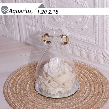 WIECZNY KWIAT RÓŻA W SZKLE PREZENT WODNIK SZKLANA FIGURKA ZNAK ZODIAKU