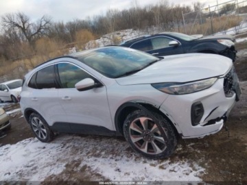 Ford Kuga III 2025 Ford Kuga 2025 r., 2,0L PLATINIUM 4X4 2.0 Benzyna 250KM, zdjęcie 13