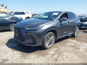 Lexus NX II 2023 Lexus NX 350H Premium 2023 2.5l 2.5 Hybryda 189KM, zdjęcie 1