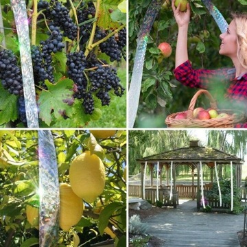 Лента отпугивающая птиц, скворцов, голубей, ворон, 45 м