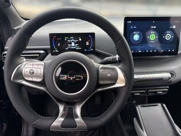 BYD 2025 BYD Dolphin Surf Elektryczny 88KM, zdjęcie 12