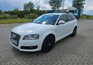 Audi A3 8P Hatchback 3d 1.6 TDI 90KM 2010 Audi A3 5 Drzwi KLIMA 1.6 Diesel 105KM, zdjęcie 11