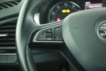 Skoda Fabia III Kombi 1.2 TSI 110KM 2015 Skoda Fabia 1.2 TSI, Salon Polska, Serwis ASO, zdjęcie 14