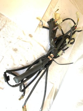 Жгут проводов Aprilia Red Rose 125