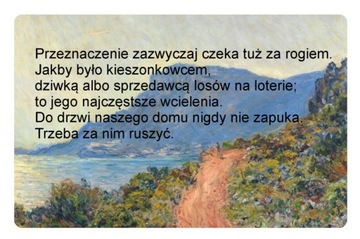Magnes na lodówkę cytat Carlos Ruiz Zafón
