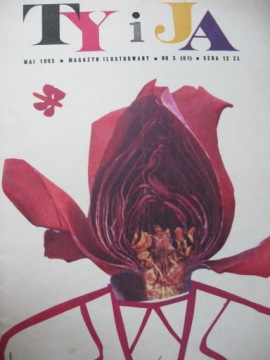 TY i JA Magazyn ilustrowany 5/1965