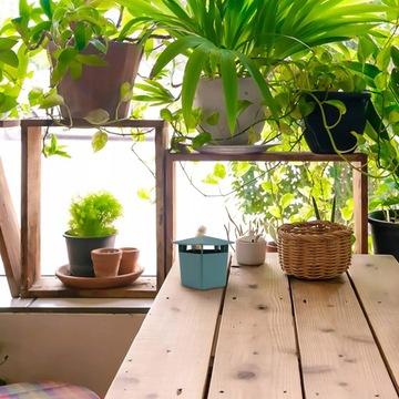 Экологическая ловушка для улиток Набор из 4 штук.