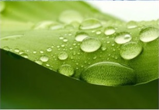 ПРОПИТКА ДЛЯ ОБУВИ И ОДЕЖДЫ СПРЕЙ BAMA 400мл PROTECT