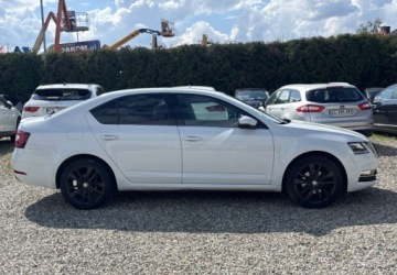 Skoda Octavia III Liftback Facelifting 1.5 TSI ACT 150KM 2019 Skoda Octavia Polski salon, I wlasciciel 1.5 Benzyna 150KM, zdjęcie 8