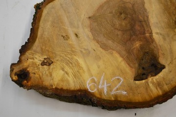 Plaster Drewna Kasztan 62x48 cm Gr. 6 cm