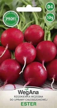 Rzodkiewka ESTER nasiona PROFI wczesna 10g