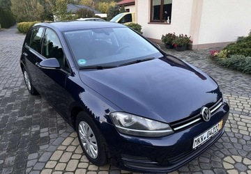 Volkswagen Golf VII Hatchback 3d 1.2 TSI 85KM 2014 Volkswagen Golf VII 1.2 TSI 86KM Highline BiXenon LED PDC 1wł. SerwisASO, zdjęcie 3