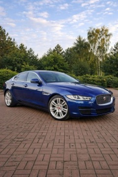 Jaguar XE Sedan 2.0 i4 180KM 2015 Jaguar XE Prestige Automat Xenon Ledy Navi, zdjęcie 3
