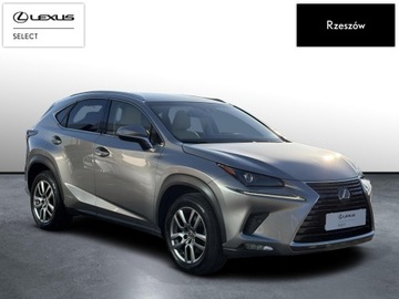 Lexus NX I SUV Facelifting 300h 197KM 2018 Lexus NX 300h Comfort AWD I (2014-2021) NX300h Com, zdjęcie 6