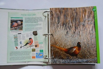 PTAKI POLSKI Издания Атлас