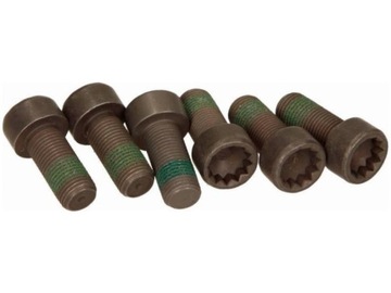 SADA ŠROUBŮ LUK 411 0133 10