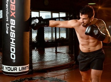 B-2V9 Боксерские перчатки для спарринга BUSHIDO, 10 унций