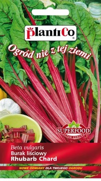 BURAK LIŚCIOWY Rhubarb Chard nasiona warzyw 5g