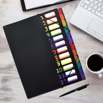 Расширяющаяся папка А4, 12 отделений, цветная.