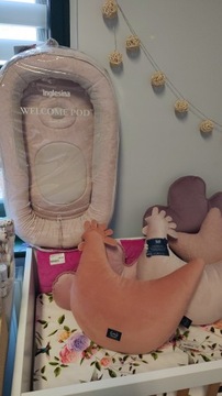 Детское гнездышко Welcome Pod INGLESINA Delicate Pink