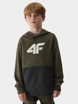 СВИТШОТ С КАПЮШОНОМ 4F ДЛЯ МАЛЬЧИКОВ AW23M628