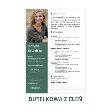 Редактируемый шаблон резюме в MS Word 1/22/CV