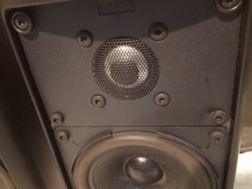 КАНТОН ПЛЮС X