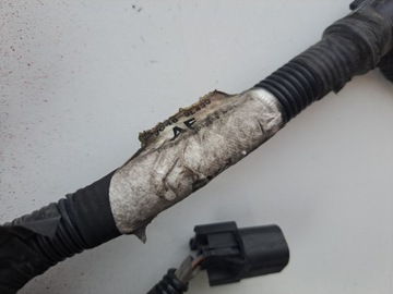 ЖГУТ ПРОВОДОВ КАТАЛИТИЧЕСКОГО НЕЙТРАЛИЗАТОРА FORD F-MAX CARGO EURO 6