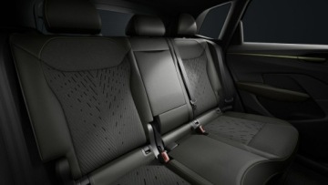 Cupra Terramar SUV 2.0 TSI 204KM 2026 Cupra Terramar Tribe Edition 2.0 TSI 204 KM DSG, zdjęcie 9