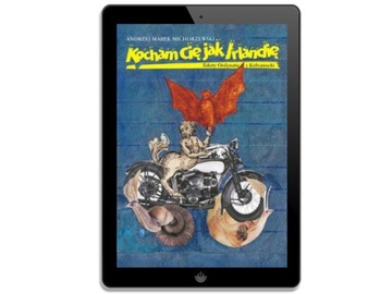 Kocham Cię jak Irlandię - ebook