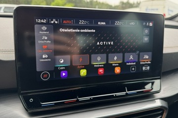 Cupra Formentor Crossover 1.5 TSI 150KM 2024 Cupra Formentor 1.5TSI 150KM DSG 2024, zdjęcie 22