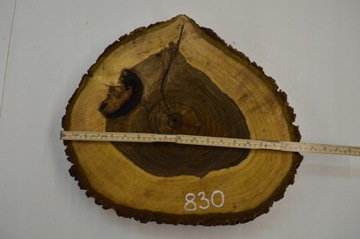 Доска Патера Срез ореха 45х41Гр6