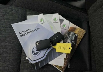 Skoda Karoq Crossover 2.0 TDI 150KM 2019 Skoda Karoq 2.0 TDI 4X4 DSG GWARANCJA BEZWYPADKOWY kamera navi, zdjęcie 35