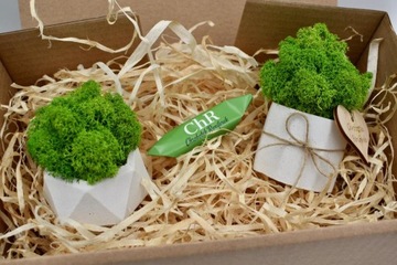 Подарочный набор «Рубильный лес»