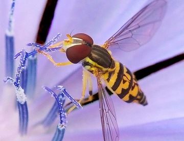 Цветовая гамма Datacolor SpyderCheckr Photo