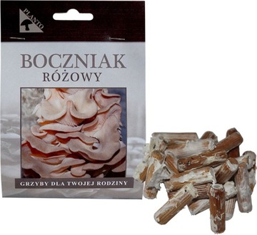 Колышки мицелия PINK OYER MOOD 20 шт. для домашнего выращивания