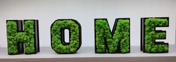 HOME 3D надпись, мох стоячий, ширина до 90 см, высота 21,5 см