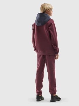 ДЕТСКИЕ СПОРТИВНЫЕ БРЮКИ 4F ДЛЯ МАЛЬЧИКОВ, ХЛОПОК AW23M419