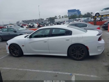 Dodge Charger VII 2021 Dodge Charger Scat Pack 2021 6.4l 6.4 Benzyna 485KM, zdjęcie 2