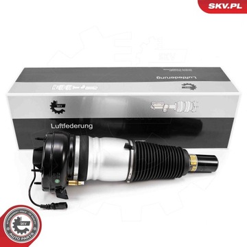 Amortyzator pneumatyczny 58SKV702