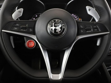 Alfa Romeo Stelvio SUV 2.0 Turbo 280KM 2017 Alfa Romeo Stelvio 4x4, 280KM, skóra, navi, klima, zdjęcie 20