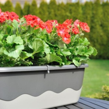 Skrzynia Mareta szara 60 cm