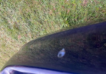 Volkswagen Golf V Kombi 1.9 TDI 105KM 2007 Volkswagen Golf Volkswagen Golf 1.9 TDI Comfortline 1.9 Diesel 105KM, zdjęcie 19