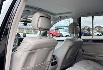 Mercedes Klasa M W164 2009 Mercedes-Benz ML Zarejestrowany - automat - 4,0 - 306 KM 4.0 Diesel 306KM, zdjęcie 17