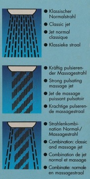 Душевая лейка DAILY 3F - Германия