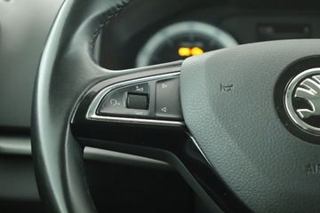 Skoda Karoq Crossover 1.5 TSI ACT 150KM 2017 Skoda Karoq 1.5 TSI, Salon Polska, Automat, Klima, zdjęcie 15