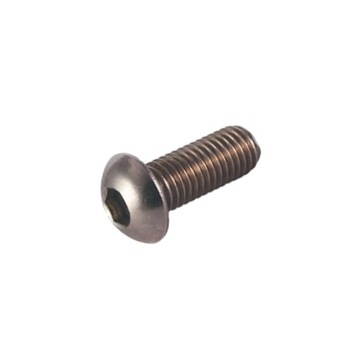Śruba grzybkowa ISO 7380-1 M6x25 A2 250szt